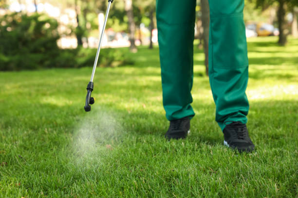 Reliable Loganville, PA Pest Control Solutions