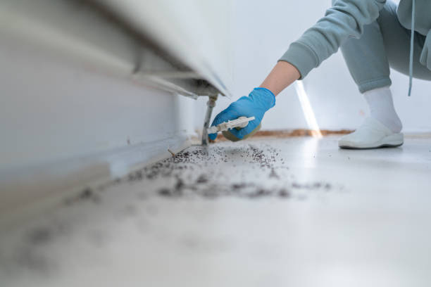 Best Commercial Pest Control Services  in Loganville, PA